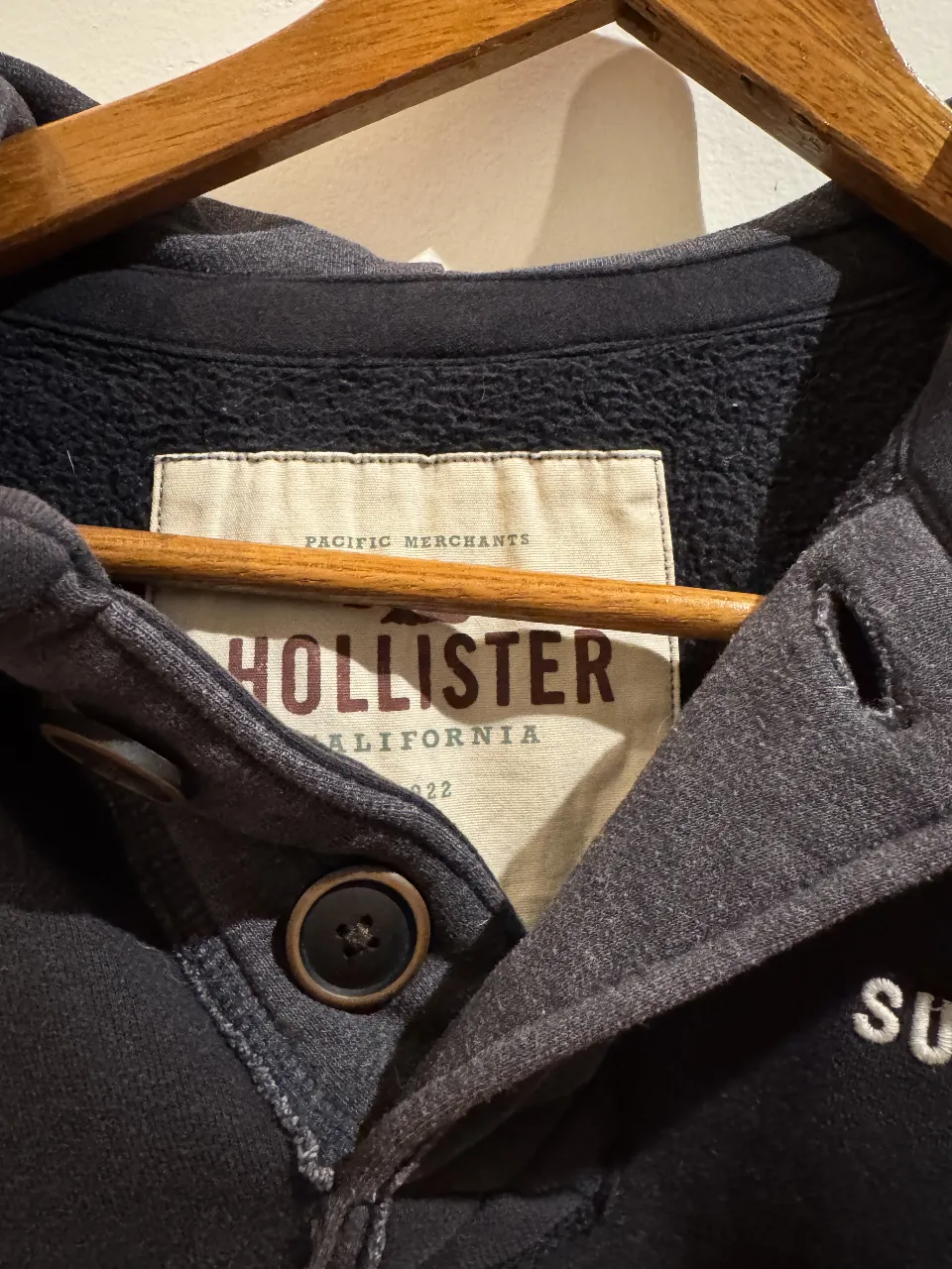 Buzo Hollister - Vista 2