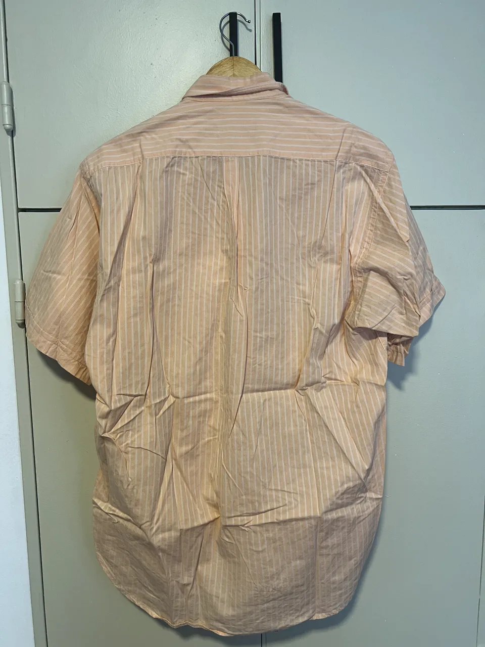 Camisa Scottfield - Vista 2