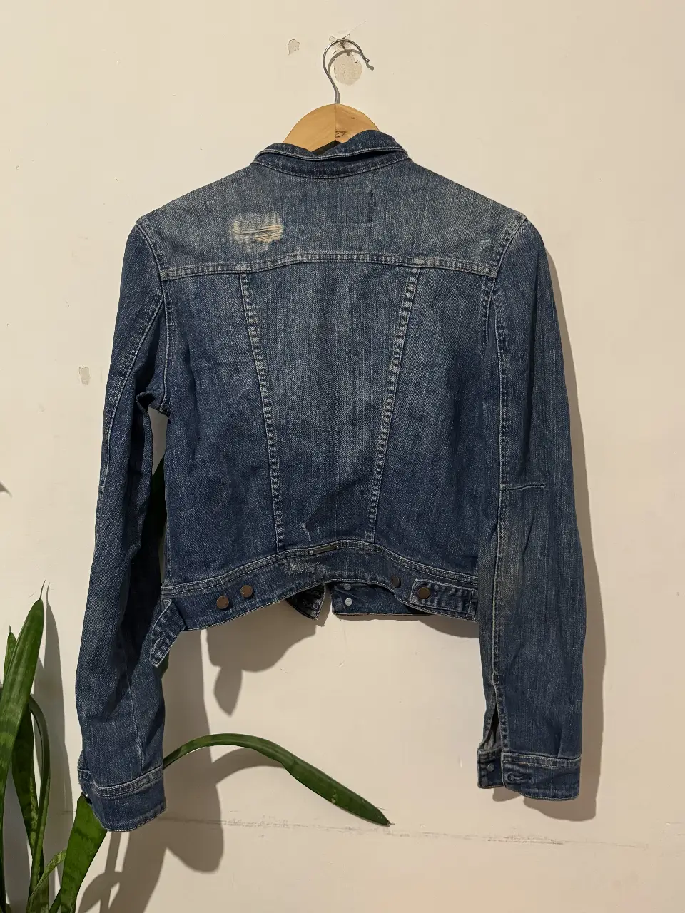 Campera Mab - Vista 3