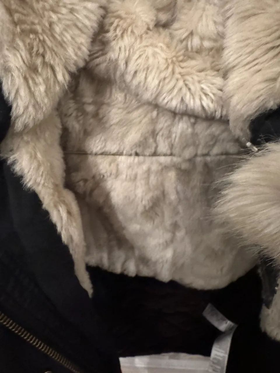 Campera Topshop - Vista 4