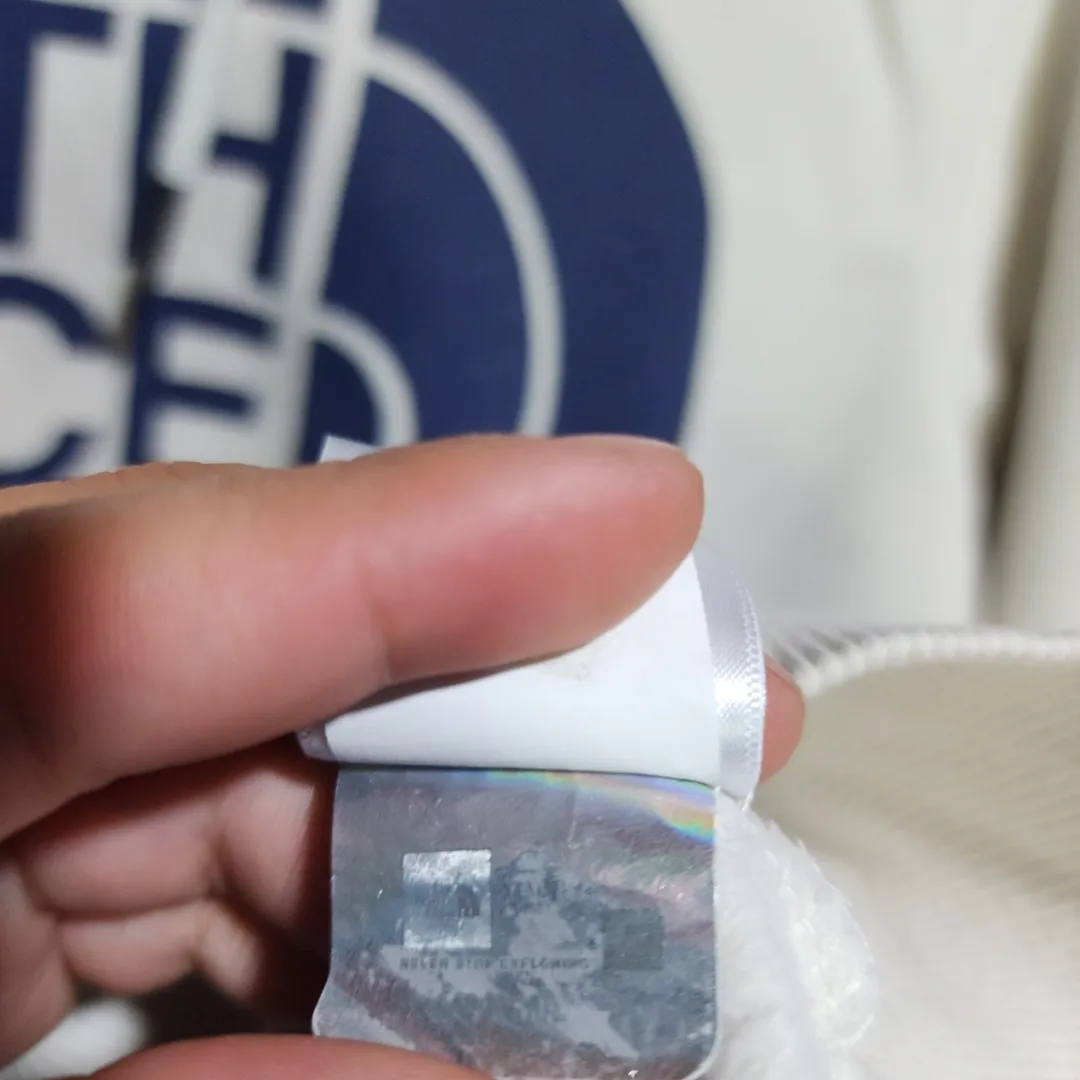 Buzo The North Face - Vista 5