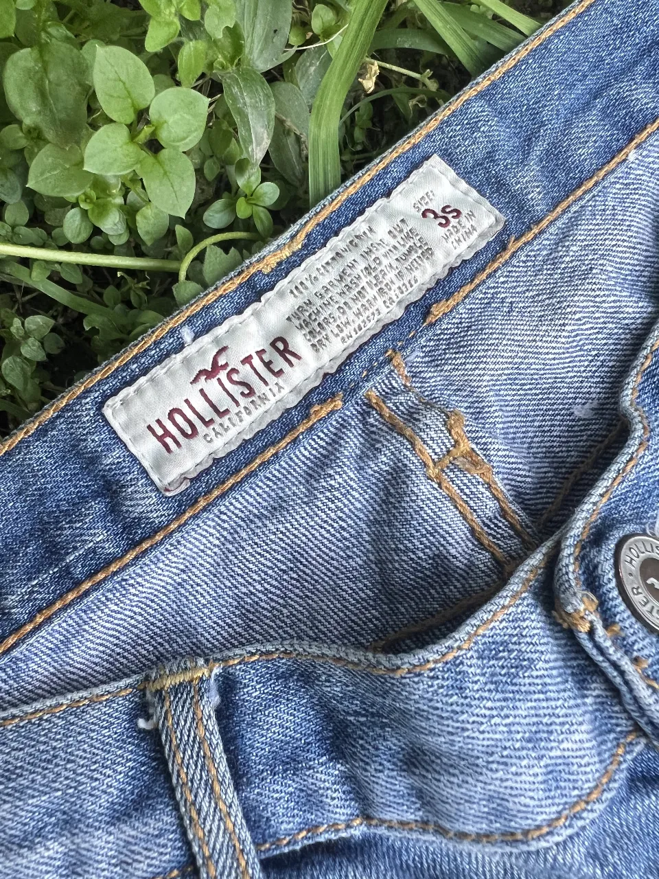Jean Hollister - Vista 4
