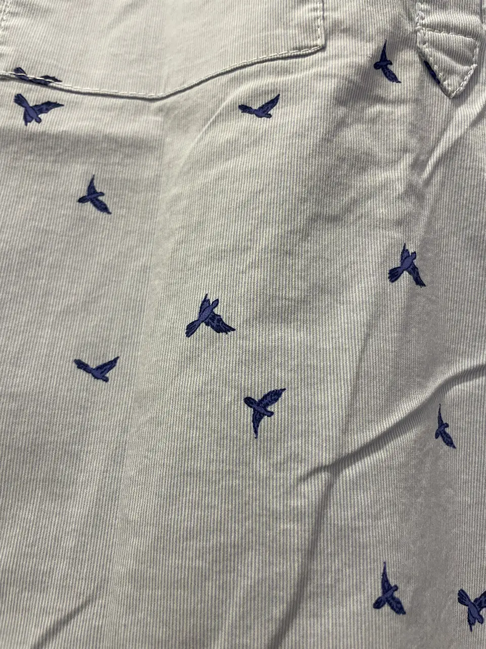 Camisa Zara - Vista 2