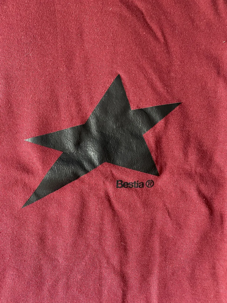 Remera Bestia - Vista 2