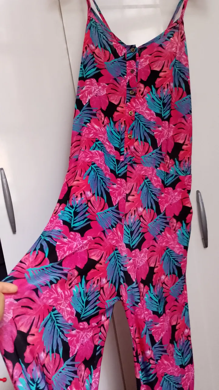 Mono Desconocida - Vista 2