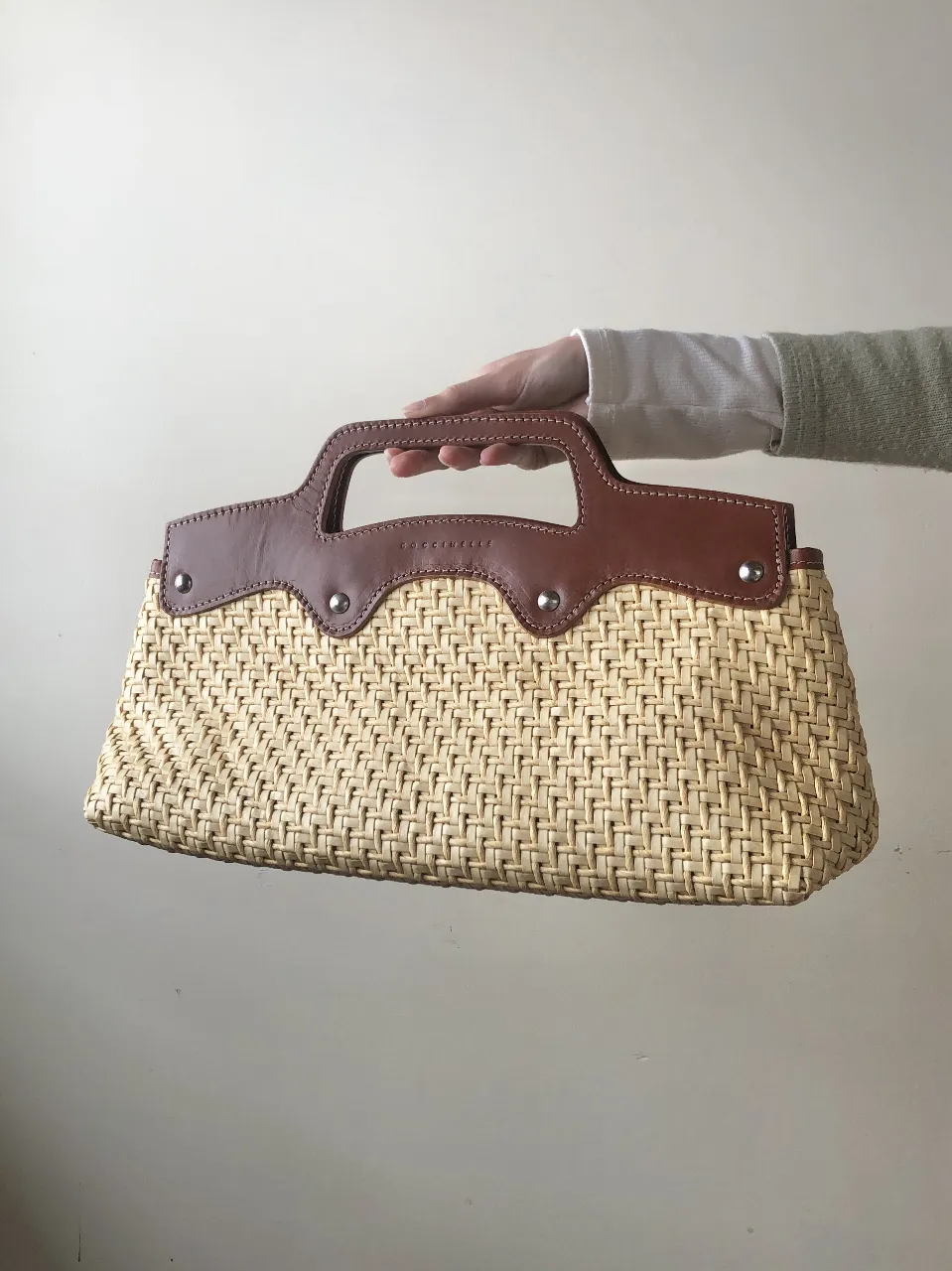 Coccinelle - Vista 2