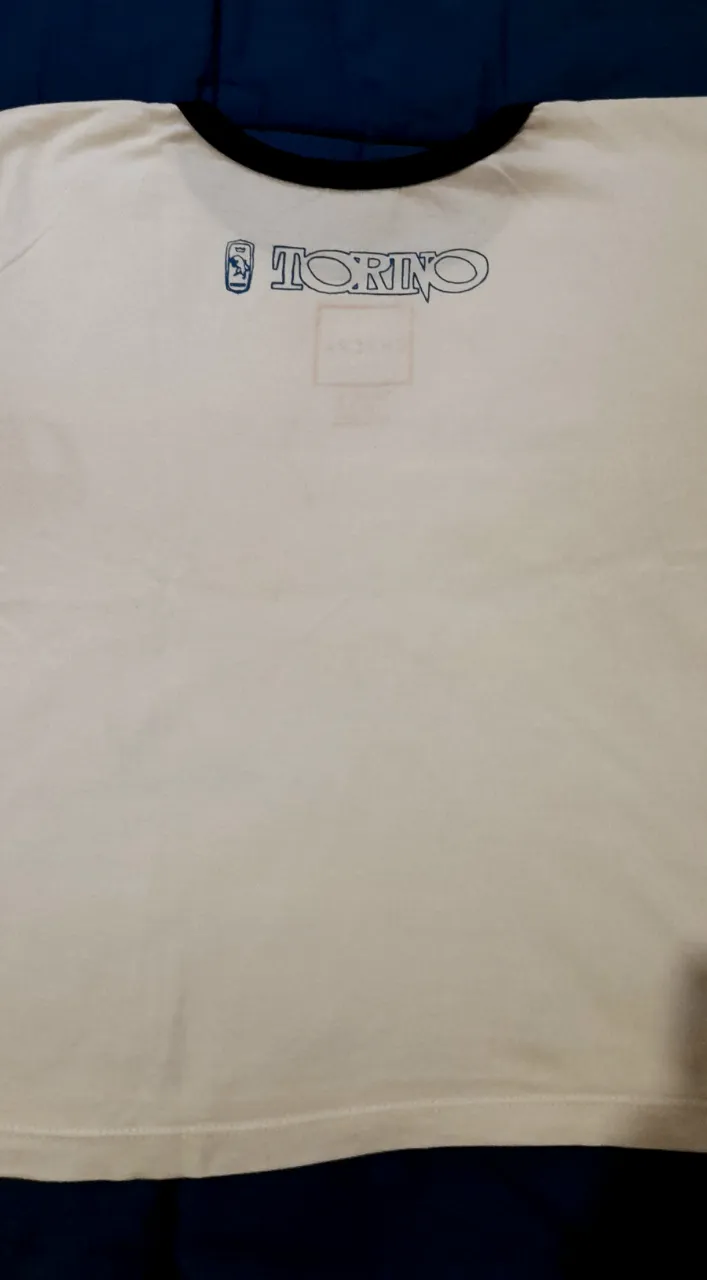 Remera Torino chacra - Vista 4
