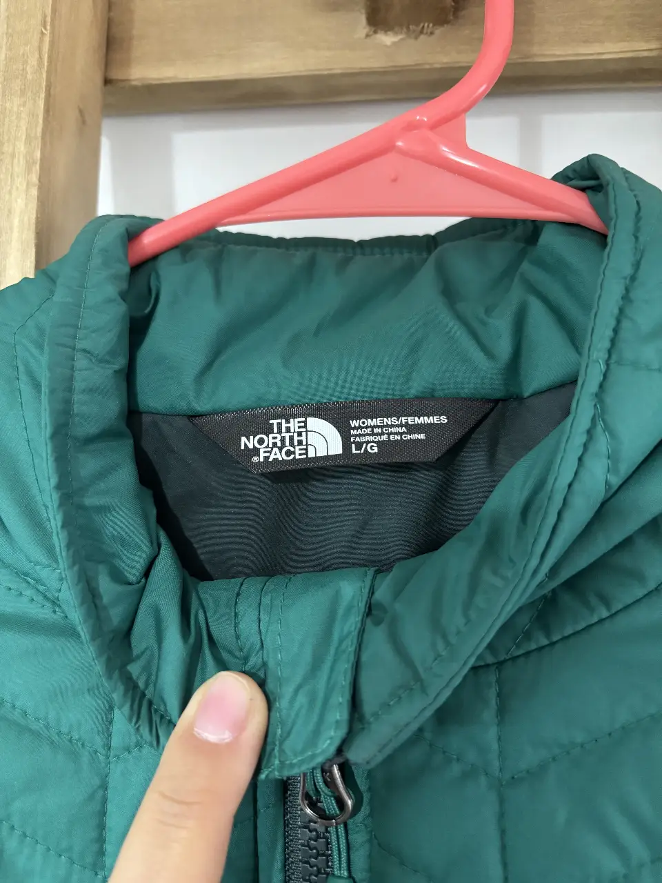 Campera The North Face - Vista 4