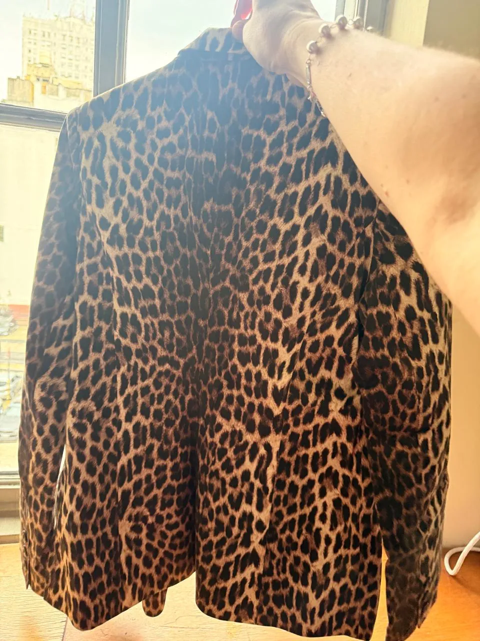 Blazer Ayres - Vista 5