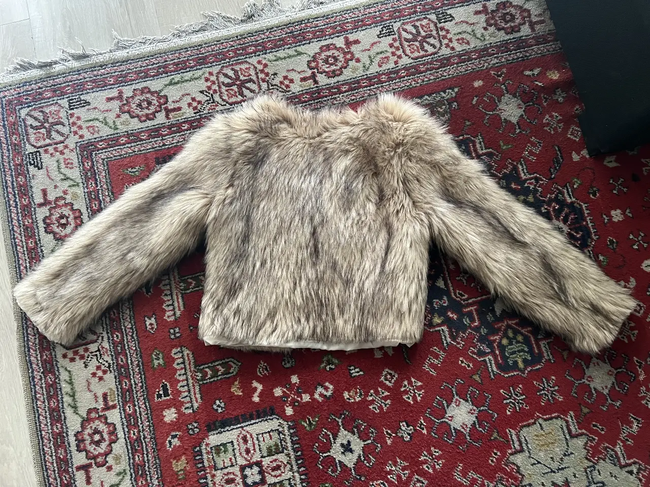 Campera PRUSSIA - Vista 4