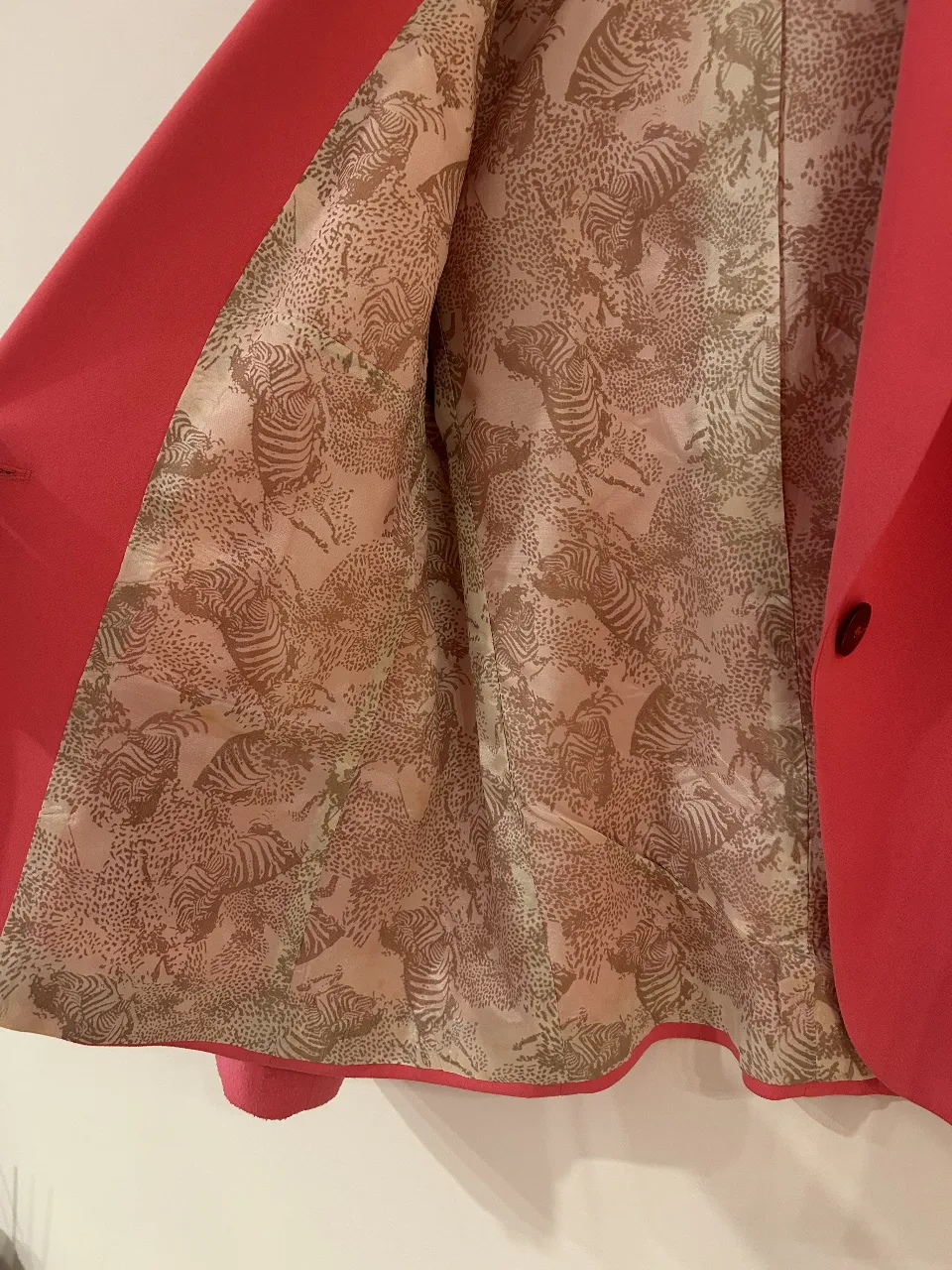 Blazer Ayres - Vista 5