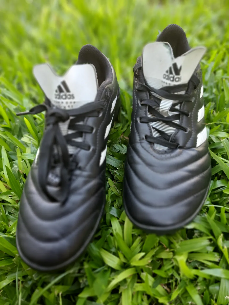 Botín de fútbol adidas - Vista 9
