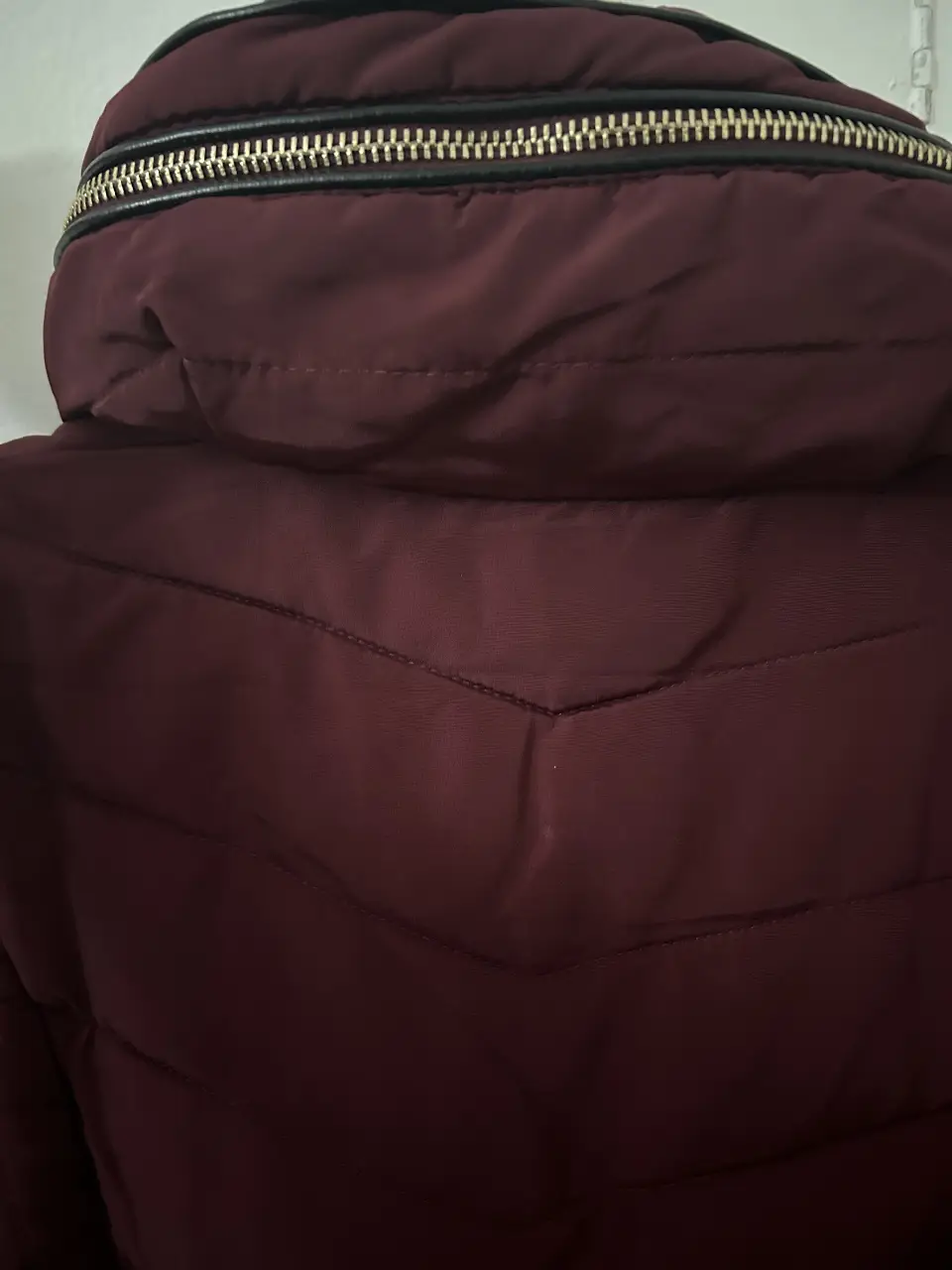 Campera FSP - Vista 3
