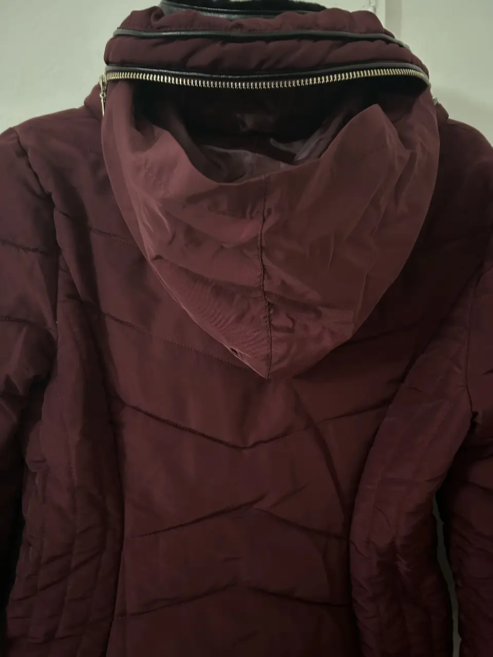 Campera FSP - Vista 4