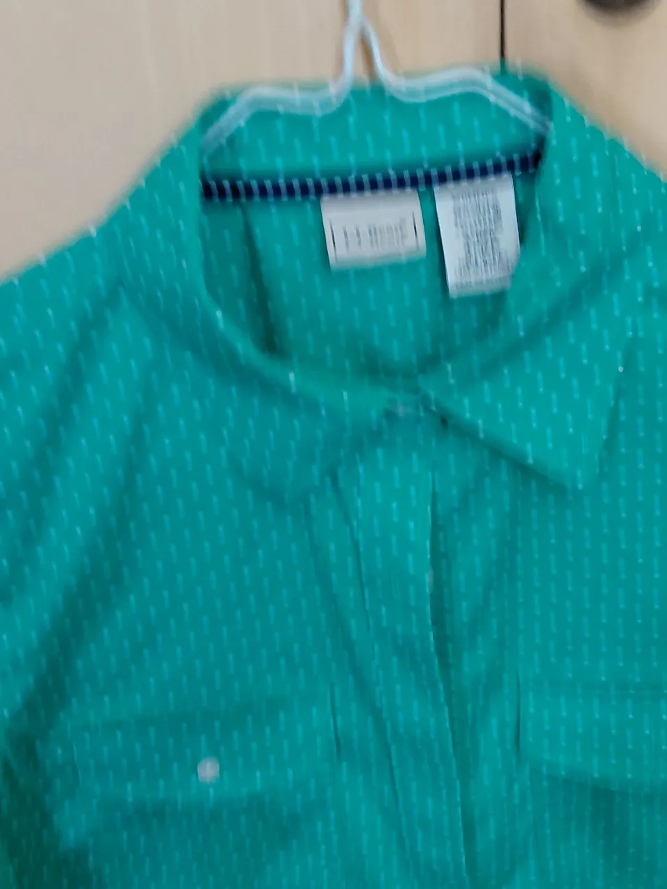 Camisa Ll beans - Vista 2