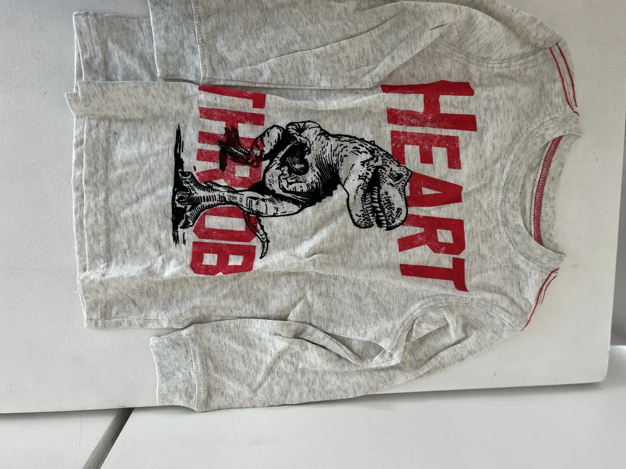 Remera de manga larga para niño, de color gris con estampado de dinosaurio y letras rojas. Ideal para un look casual y cómodo.