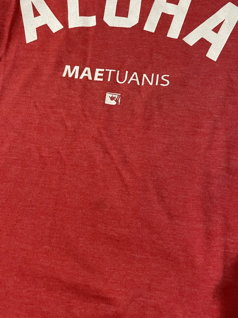Musculosa Maetuanis - Vista 4